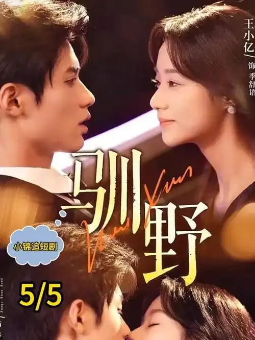 治愈系电视剧《山海食堂》封面